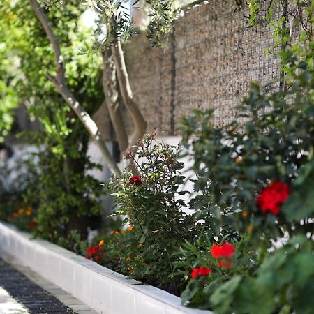 Vila Feliz - Premium Rooms With Free Private Parking Vlorë Exteriör bild