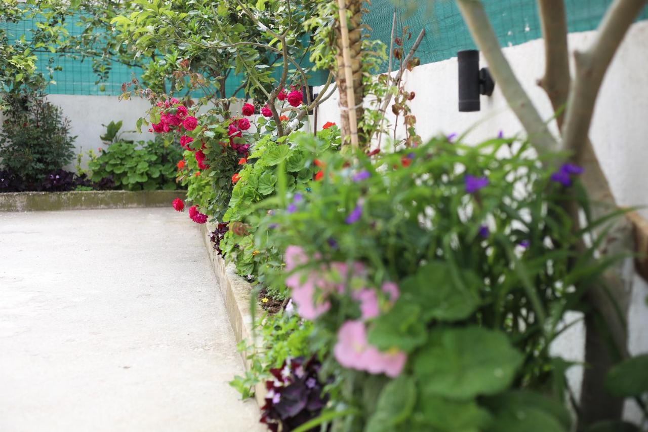 Vila Feliz - Premium Rooms With Free Private Parking Vlorë Exteriör bild
