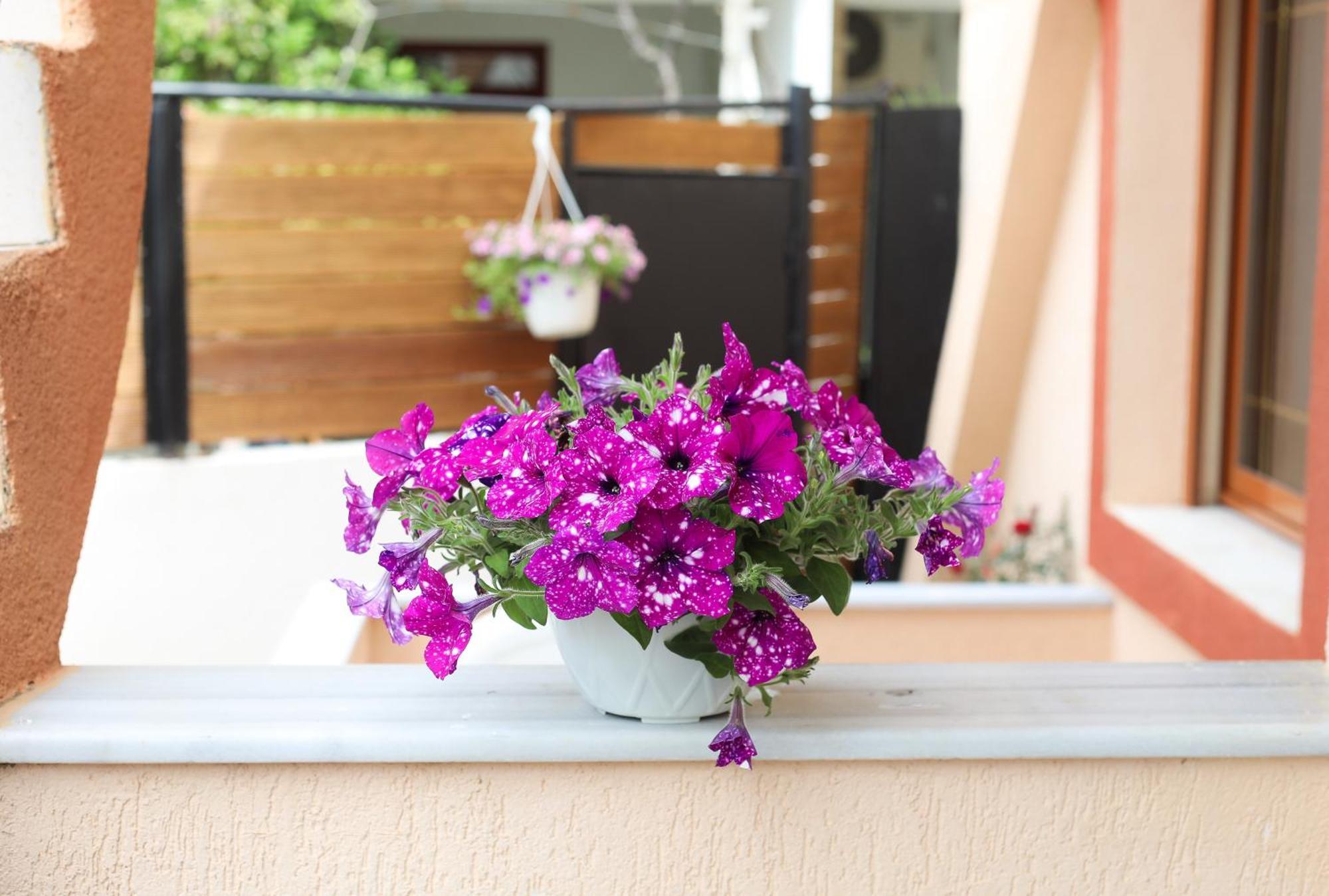 Vila Feliz - Premium Rooms With Free Private Parking Vlorë Exteriör bild