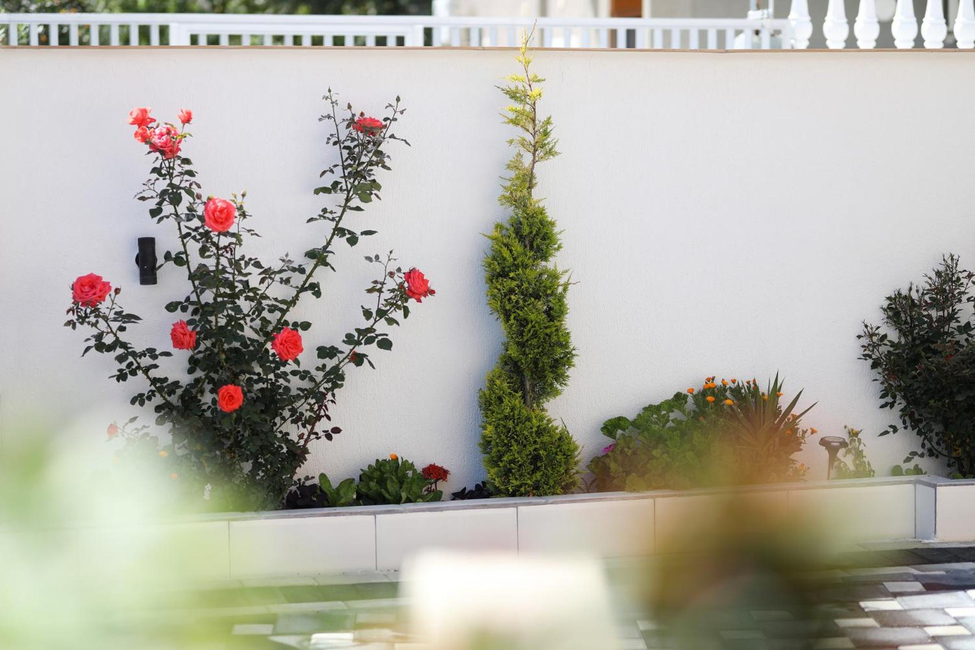 Vila Feliz - Premium Rooms With Free Private Parking Vlorë Exteriör bild