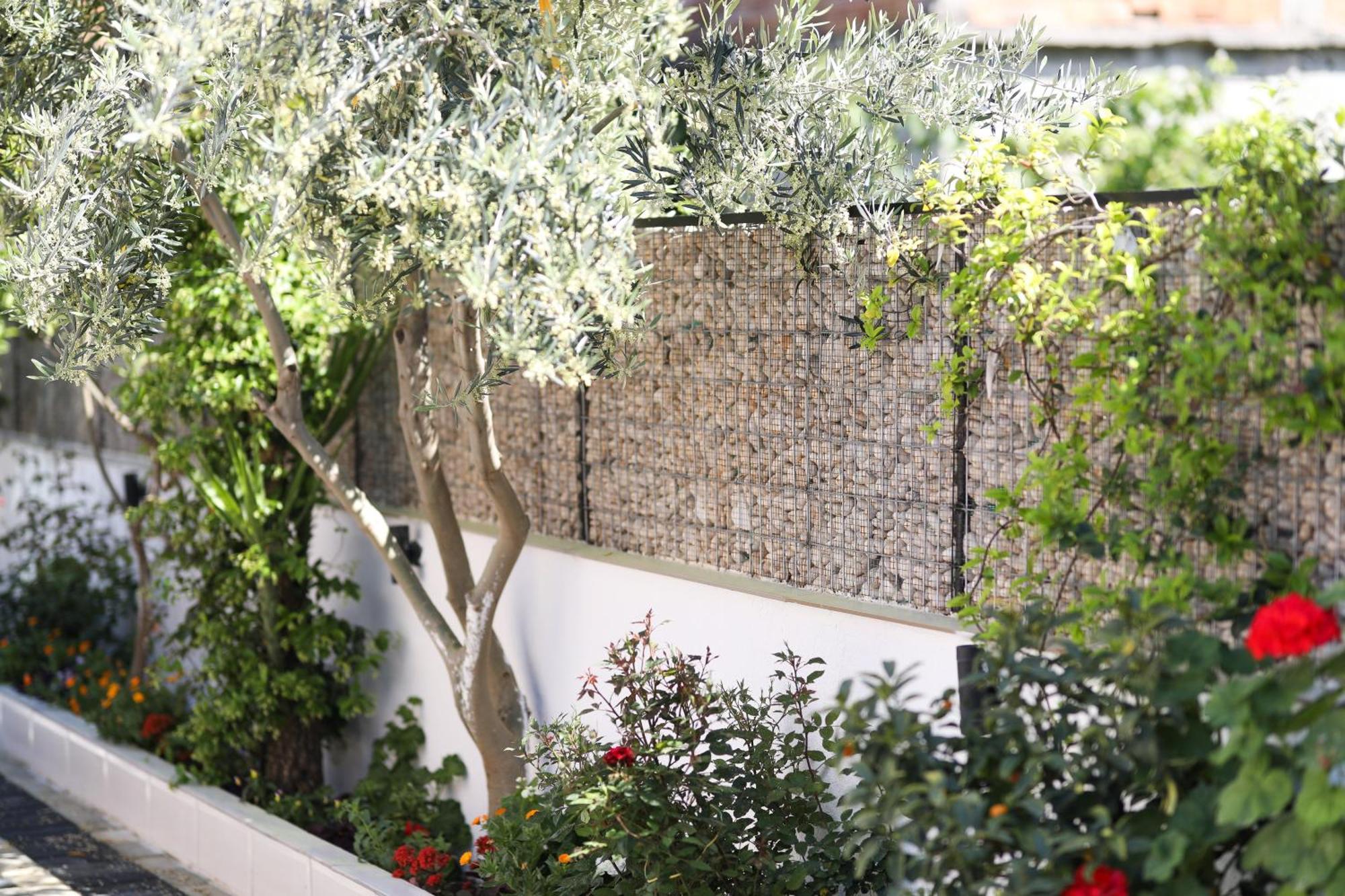 Vila Feliz - Premium Rooms With Free Private Parking Vlorë Exteriör bild